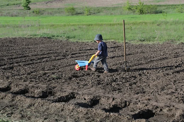 Niño Pequeño Con Carretilla Brillante Niño Ayuda Los Padres Campo —  Fotos de Stock