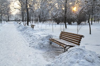 Eski park sokakta üzerinde kış günbatımı. Ağaçlar ve şehir park banklar anormal derecede büyük bir karla kaplı.