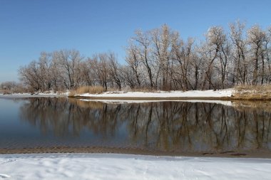 Kardaki bahar kıyı şeridi çıplak ağaçlar soğuk cl yansıtılır