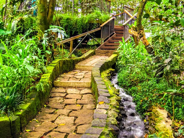Stone path with wooden stairs in forest