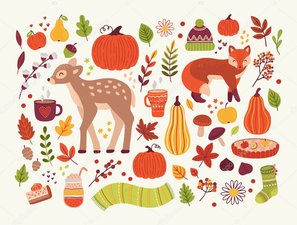 Vector collection of autumn design elements with baby deer, fox, pumpkins, foliage, hot drinks, berry, apples, pears and warm clothes. Hand drawn flat illustraion in cartoon style. Seasonal greeting cards, print, logo design.