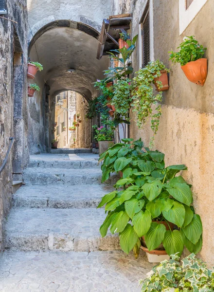 Pacentro Borgo Medievale Provincia Aquila Abruzzo Italia Centrale — Foto Stock