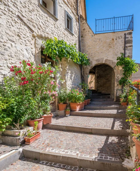 Sunny Summer Morning Villalago Province Aquila Abruzzo Region Italy — стоковое фото