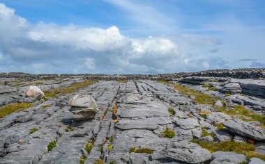 Inishmore, Aran Islands, Irlanda 'da panoramik manzara.