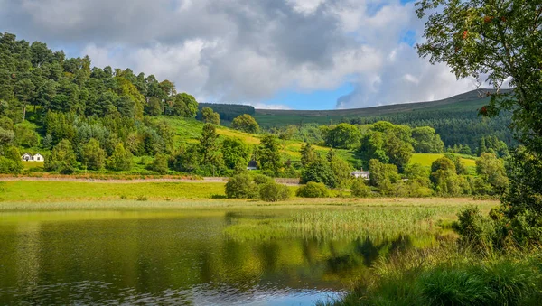 Idilli Kilátás Völgyben Glendalough Írország — Stock Fotó