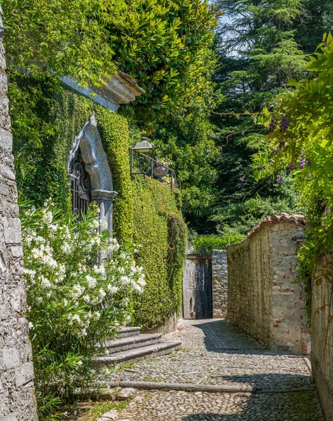 Vista Panorámica Ossuccio Pequeño Hermoso Pueblo Con Vistas Lago Como — Foto de Stock