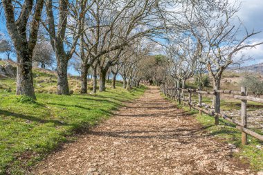 Norba, Antik şehir Lazio Monti Lepini, Latina eyaletinin, Lazio, İtalya Batı kenarında.
