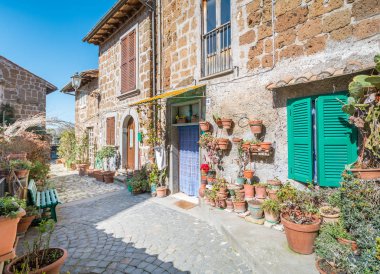 Doğal görünürde Barbarano Romano, Lazio, İtalya Viterbo eyaletinde ortaçağ köyü.