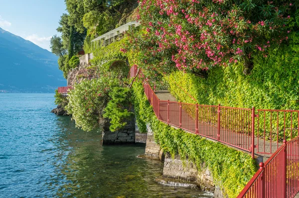 Живописная Прогулка Влюбленных Варенне Озеро Комо Ломбардия Италия — стоковое фото