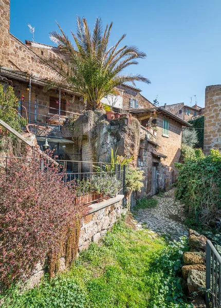 意大利拉齐奥维泰博省中世纪村庄巴巴拉诺 罗马诺的风景 — 图库照片