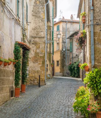 Farnese, eski ve güzel köy Viterbo eyaletinde, Lazio, İtalya. 
