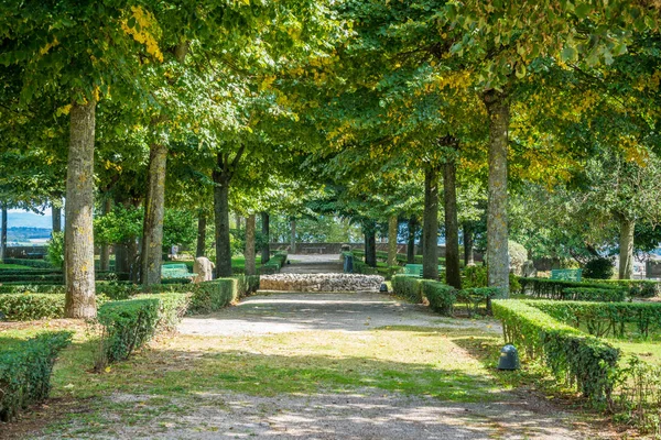 庭のロッカ パピの要塞モンテフィアスコーネ イタリア中部ラツィオ州ヴィテルボ県 — ストック写真