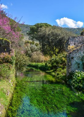 Bahçe Ninfa, Cisterna di Latina topraklarında peyzaj Bahçesi, Latina eyaletinde, orta Italya.