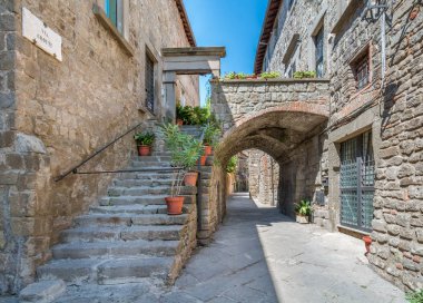 Viterbo, Lazio, Orta Italya'nin pitoresk San Pellegrino Ortaçağ bölgesinde.