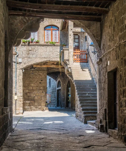 Pittoresque Quartier Médiéval San Pellegrino Viterbe Latium Italie Centrale — Photo