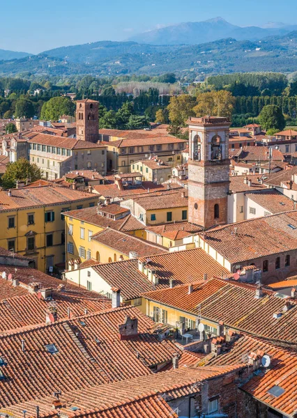Vista Panoramica Lucca Con Chiesa San Salvatore Chiesa Santa Maria — Foto Stock
