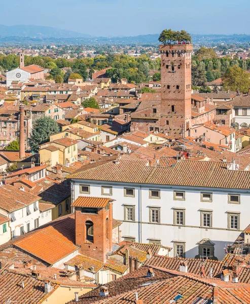Vista Panoramica Lucca Con Famosa Torre Guinigi Toscana Italia — Foto Stock