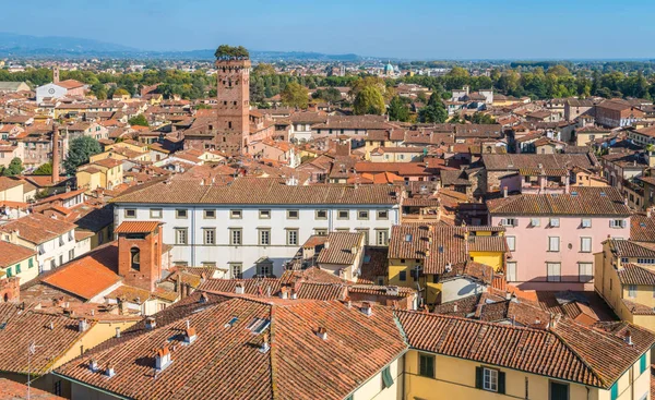 Lucca Ünlü Guinigi Kulesi Ile Panoramik Görünümünde Toskana Talya — Stok fotoğraf