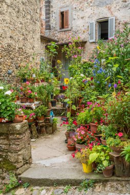 Anghiari'de, Arezzo eyaletinde, Toskana, İtalya'da manzara.