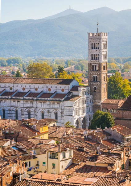 Vista Panorâmica Lucca Com Duomo San Martino Toscana Itália — Fotografia de Stock