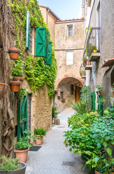 Vista Panoramica Capalbio Pittoresco Borgo Della Provincia Grosseto Toscana Italia — Foto Stock