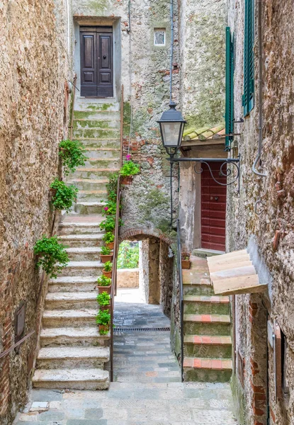 Vue Panoramique Capalbio Village Pittoresque Province Grosseto Toscane Italie — Photo