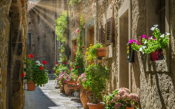 Scenic Sight Anghiari Tartomány Arezzo Toszkána Olaszország — Stock Fotó