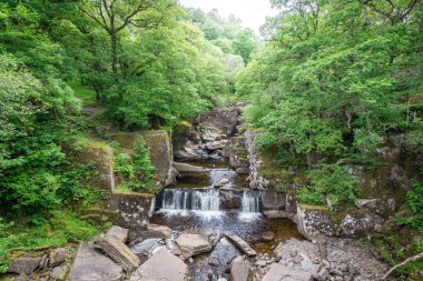 Bracklinn Falls, Callander yakın doğal doğa manzara, Stirling Konseyi alanında küçük bir kasaba, Iskoçya.
