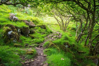Ünlü Fairy Glen, Iskoçya 'daki Skye Adası 'nda UİG köyünün üstündeki tepelerde yer alan.