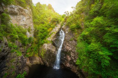 Foyers Güz, şelale River Foyers üzerinde, hangi Loch Ness beslemeleri, Highland, Iskoçya, Birleşik Krallık.