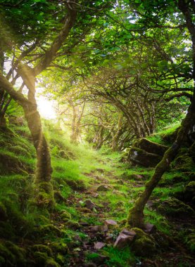 Ünlü Fairy Glen, Iskoçya 'daki Skye Adası 'nda UİG köyünün üstündeki tepelerde yer alan.