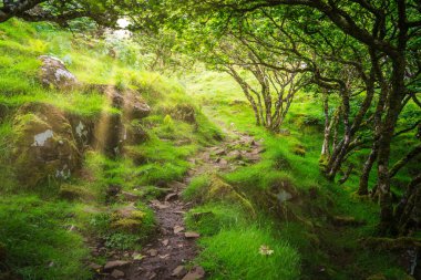 Ünlü Fairy Glen, Iskoçya 'daki Skye Adası 'nda UİG köyünün üstündeki tepelerde yer alan.