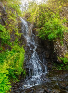 Skye Adası 'nda Dunvegan Kalesi 'nde pastoral Bahçe, Iskoçya.