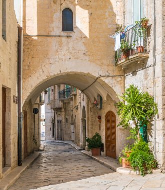 Giovinazzo manzaralı manzara, bari Eyaleti, Puglia, Güney Italya.