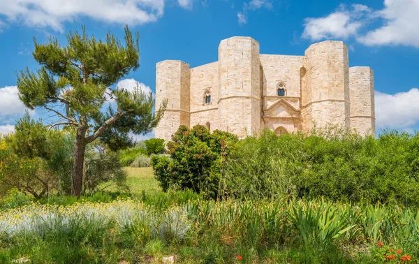 Castel Del Monte Puglia Ünlü Ortaçağ Kalesi Güney Italya — Stok fotoğraf