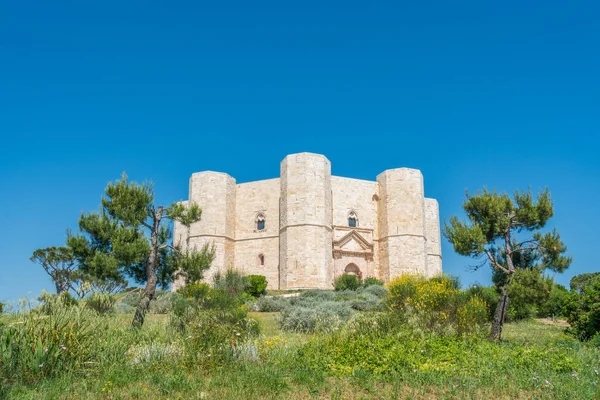 Castel Del Monte Famosa Fortaleza Medieval Apulia Sur Italia — Foto de Stock