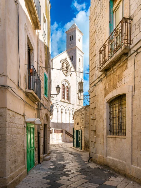 Giovinazzo Manzaralı Manzara Bari Eyaleti Puglia Güney Italya — Stok fotoğraf