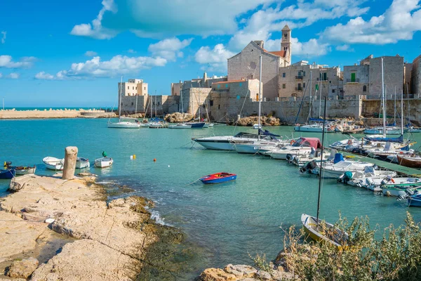Alter Hafen Giovinazzo Provinz Bari Apulien Süditalien — Stockfoto
