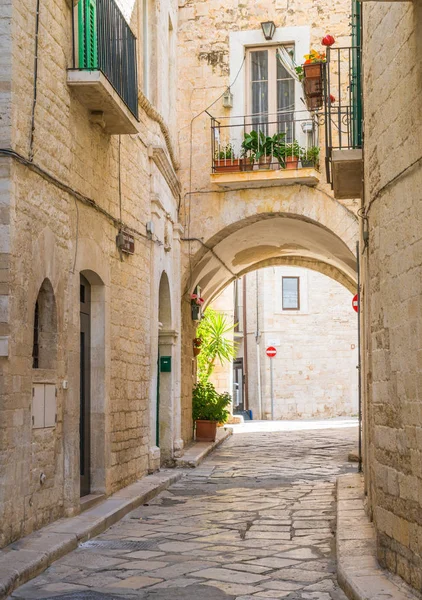 Vistas Panorámicas Giovinazzo Provincia Bari Puglia Sur Italia — Foto de Stock