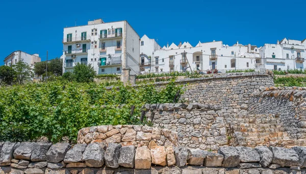 Festői Látvány Locorotondo Bari Tartomány Apulia Dél Olaszországban — Stock Fotó