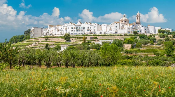 Vista Panoramica Locorotondo Provincia Bari Puglia Italia Meridionale — Foto Stock