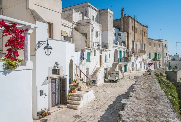 Malowniczy Widok Lato Monopoli Prowincja Bari Apulia Południowe Włochy — Zdjęcie stockowe