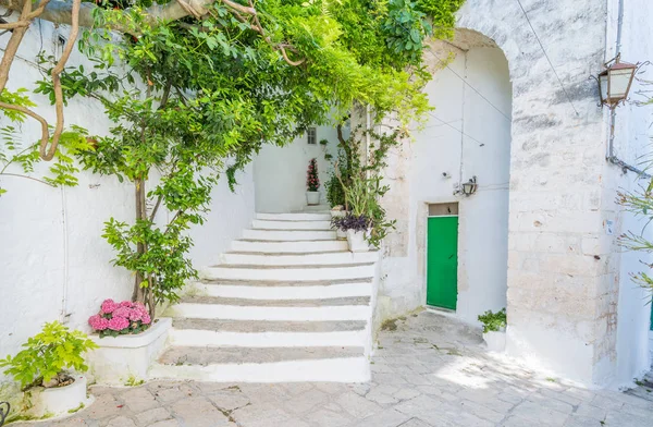 Ostuni Brindisi Ilinin Manzaralı Manzaralı Apulia Italya — Stok fotoğraf