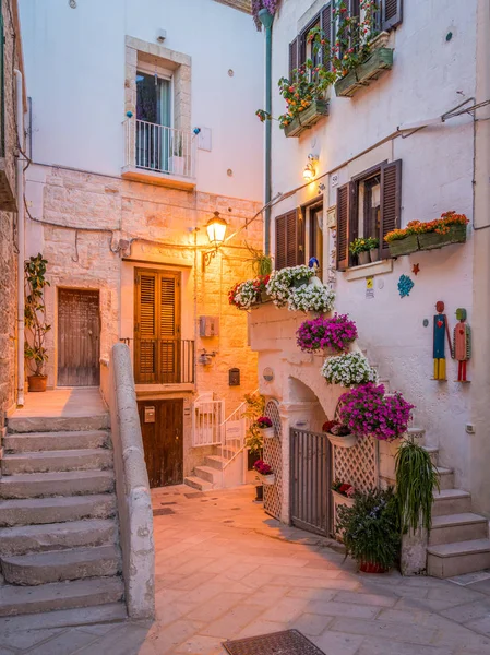 Polignano Mare Por Noche Provincia Bari Apulia Sur Italia — Foto de Stock