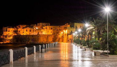 Scenic night view of Vieste, the famous 