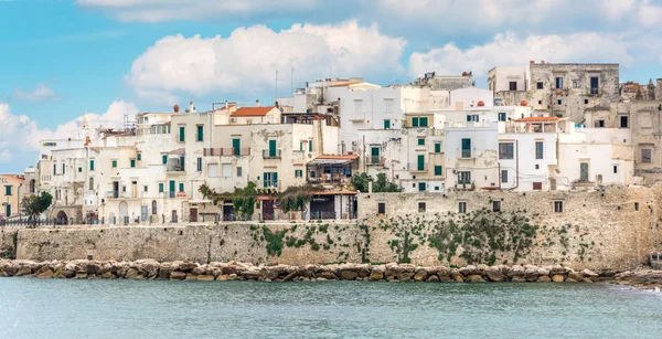 Vyhlídkový Pohled Vieste Slavný Pearl Gargano Provincii Foggia Puglia Itálie — Stock fotografie