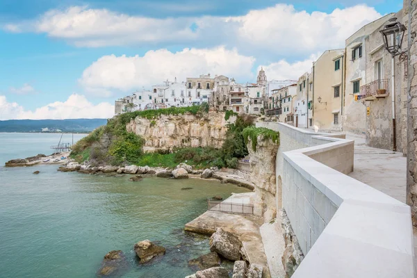 Apulia Nın Foggia Eyaletinde Bulunan Ünlü Pearl Gargano Nın Doğal — Stok fotoğraf