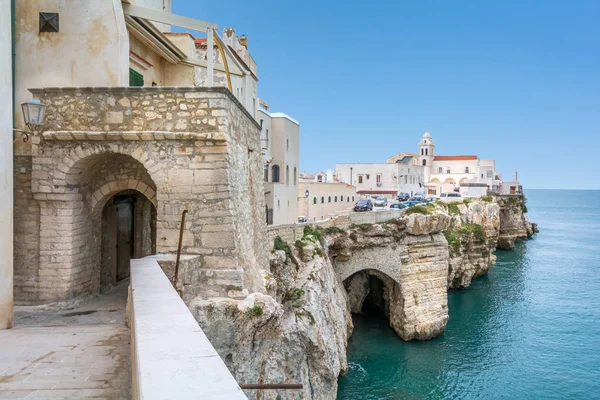 Schilderachtige Uitzicht Vieste Beroemde Parel Van Gargano Provincie Foggia Puglia — Stockfoto