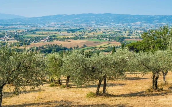 Assisi, Umbria, orta İtalya'yı çevreleyen kırsal arazi.