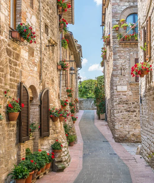 Assisi'de pitoresk bir manzara. Perugia eyaleti, Umbria, orta İtalya.